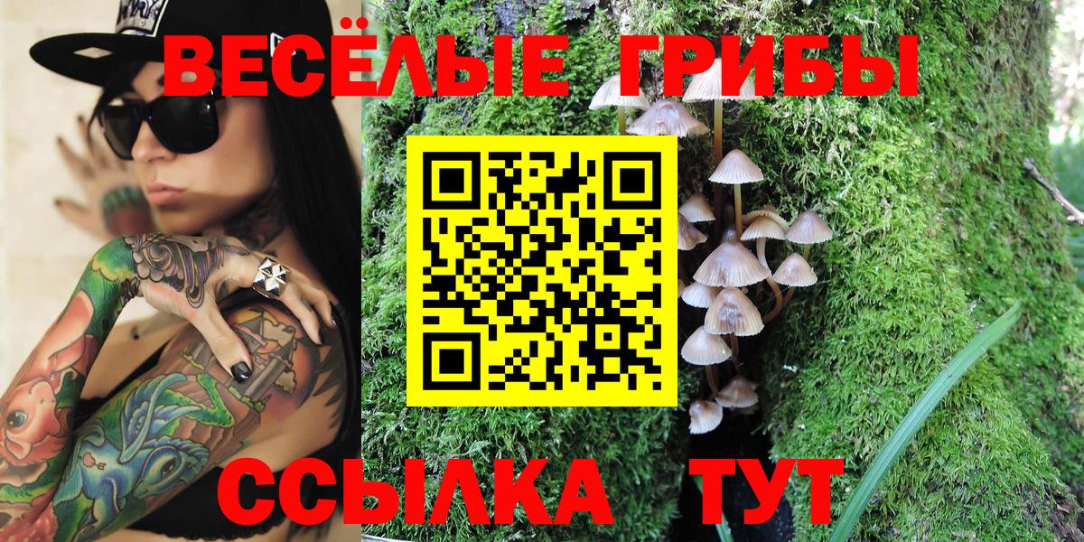 Галлюциногенные грибы Cubensis Пушкино