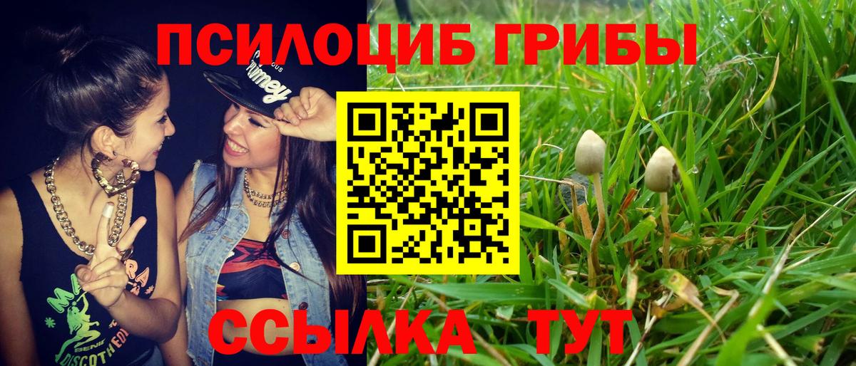 Пушкино  Галлюциногенные грибы GOLDEN TEACHER  Псилоцибиновые грибы ЛСД  Вход с VPN 
