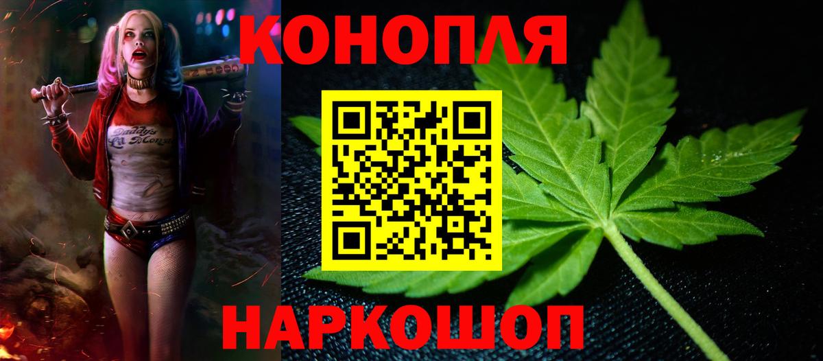 Бошки марихуана MAZAR  Шишки марихуана план  Канабис VHQ  Пушкино  Вход с VPN  Бошки Шишки тримм 